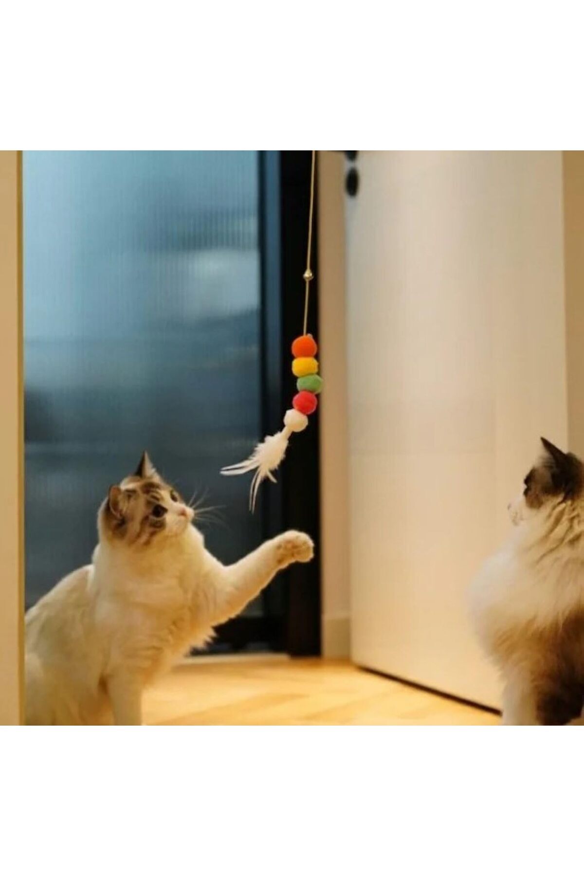 KEDİ OYUNCAK SET **5 PARÇA